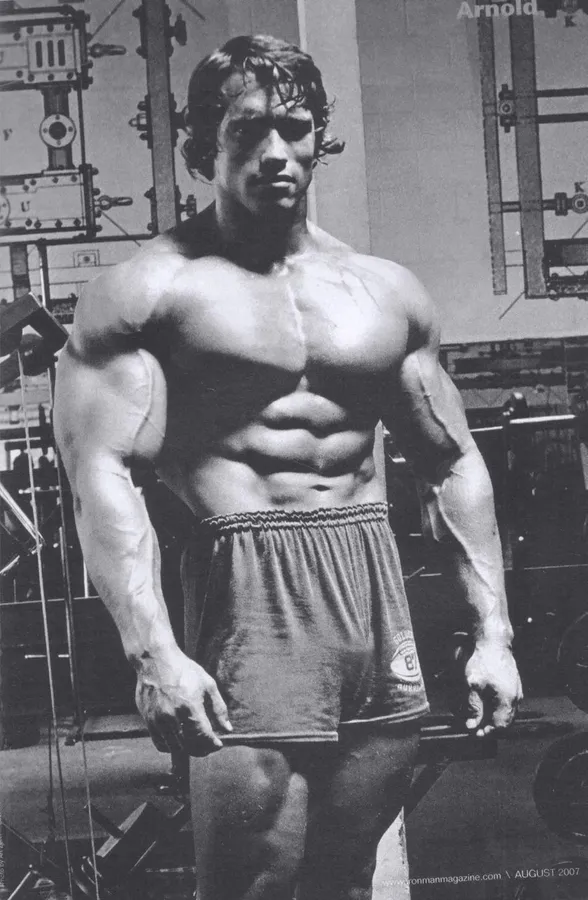 arnold schwarzenegger